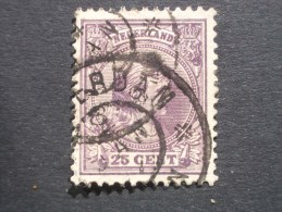 PAYS - BAS  ( O )  De 1891 / 1897    "   Effigie  De  WILHELMINE    "      N° 42           1 Val . - Usati