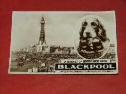 BLACKPOOL  -  A Basket Of Good Luck From Blackpool - Blackpool