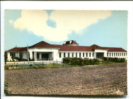 CP - ARNOUVILLE LES GONNESSES (95) ECOLE JEAN JAURES - Arnouville Les Gonesses