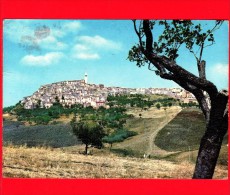 ITALIA - MOLISE - Cartolina Viaggiata Del 1969 - MONTENERO Di Bisaccia (Campobasso) - Panorama - Autres & Non Classés