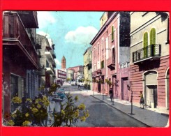 ITALIA - MOLISE - Cartolina Viaggiata Del 1968 - MONTENERO Di Bisaccia (Campobasso) - Via V. Argentieri - Otros & Sin Clasificación