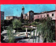 ITALIA - MOLISE - Cartolina Viaggiata Del 1967 - MONTENERO Di Bisaccia (Campobasso) - Giardini Pubblici - Andere & Zonder Classificatie