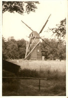 Genk Bokrijk Limbourg Molen/moulin Carte Photo Gevaert - Genk