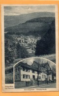 Schmitten Im Taunus Erholungsheim Hauptgebaude 1920 Postcard - Taunus