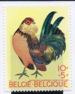 Sello 1513  Pajaros  Belgica. - Gallinacées & Faisans