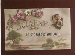 49 Souvenir De St Georges Sur Loire édit. Zed N° 511 - Saint Georges Sur Loire