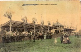 SAVENAY LES COURSES TRIBUNES CARTE TOILLEE COLORISE ANIMEE + CACHET DE LA POSTE LIEU DE DESTINATION ENVAHI RARE - Savenay