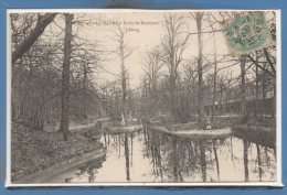 76 - MONTJEON --  L'Etang - Forêt De Montgeon