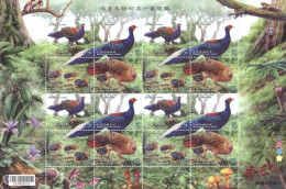 2014 Conservation Of Birds Stamps Sheet-Swinhoe Pheasant Mother Children Bird Forest Fern Squirrel Fungi Mushroom Fruit - Hühnervögel & Fasanen