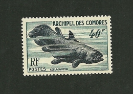 COMORES   1954  Faune Marine  "Coelacanthe"   N°13    NEUF. - Unused Stamps