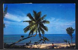 RB 977 - 1962 Bahamas Postcard - 8d Airmail Rate Nassau To England - Bahama's