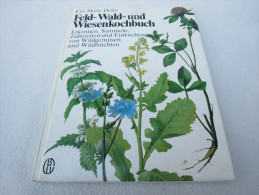 Eve Marie Helm "Feld- Wald- Und Wiesenkochbuch" Erkennen, Sammeln, Zubereiten Und Einkochen Von Wildgemüsen Wildfrüchten - Comidas & Bebidas