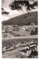 Deutschland - Saig Im Schwarzwald - Hochschwarzwald