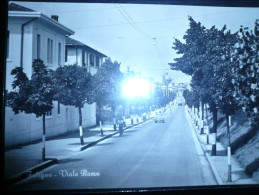 FOLIGNO Viale Roma Usata 10.03.57 - Foligno