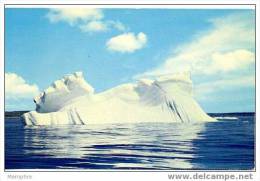 Iceberg Dans La Baie Brador - Postales Modernas