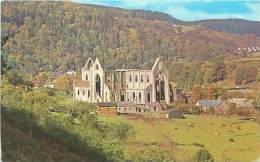 TINTERN ABBEY - Monmouthshire