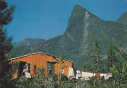 Ile De La Réunion,vue Rare Des Hauts De L´ile,plantation Et Habitants,maison En Tole,et Linge Tenu Par File électiques - Autres & Non Classés