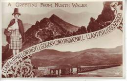 ROYAUME UNI - BARMOUTH Viaduct - D11 70 - Merionethshire