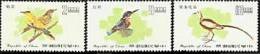 Taiwan 1977 Birds Stamps Bird Oriole Kingfisher Jacana Fauna Resident - Nuovi