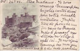 ROYAUME UNI - (1901) HARLECH CASTLE (1900) - D11 1 - Merionethshire