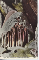 ROYAUME UNI - Organ Pipes In Solomon´s Temple, Cheddar Caves - D16 292 - Cheddar