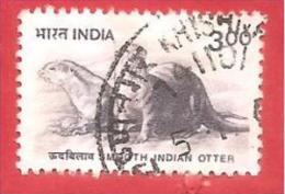 INDIA - USATO - 2000 - Animali - Smooth Indian Otter - 3 Rupee - Michel IN 1771 - Gebruikt