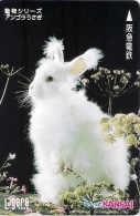Télécarte Japonaise. Animaux. Lapin - Conejos