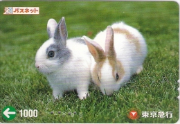 Télécarte Japonaise. Animaux. Lapin - Lapins