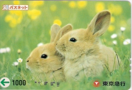 Télécarte Japonaise. Animaux. Lapin - Rabbits