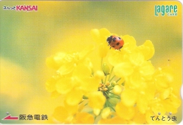 Télécarte Japonaise. Animaux.  Coccinelle - Lieveheersbeestjes