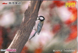 Télécarte Japonaise. Animaux.  Oiseaux. Passereaux - Songbirds & Tree Dwellers