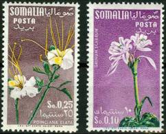 SOMALIA, AMMINISTRAZIONE FIDUCIARIA ITALIANA, (A.F.I.S.), FLORA, FIORI, 1959, NUOVI (MNH**), YT 248A,248B, UN 40,42 - Somalia (AFIS)