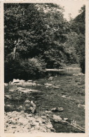 Environs D' EYGURANDE - Paysage Sur Le Chavanon - Eygurande