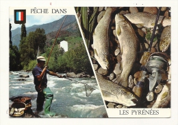 Cp, Sport, Pêche Dans Les Pyrénées, Multi-Vues, écrite - Pêche