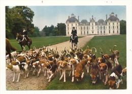 Cp, Chasse à Courre, Château De Cheverny (41) - Hunting