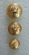 Militaria M - Bouton Gendarmerie - Lot De 3 Boutons Gendarme Mobile Ou Garde - Tailles Différentes Voir Scans - Boutons