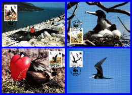 Série De 4 Cartes Maximum - Frégate Aigle-de-mer Frégate Du Pacifique - N° 503/506 (Yvert) - Île De L'Ascension 1990 - Ascension (Ile De L')