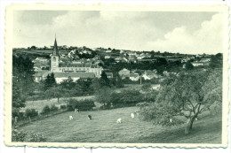 Cerfontaine - Panorama - Cerfontaine