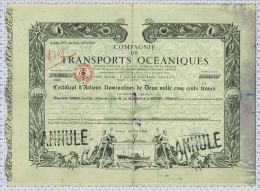 Cie De Transports Océaniques, Certificat Tres Déco - Navy