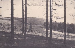 Feldberg I.Taunus, Partie Vom Weg Nach Dem Fuchstanz - Taunus