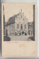 4294 ISSELBURG - ANHOLT, Rathaus, Ca. 1905 - Borken