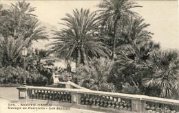 MONACO.  MONTE-CARLO - Groupe De Palmiers - Les Jardins - 2 Scans  (VINTAGE POSTCARD) - Jardín Exótico