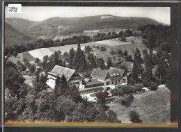 GRÖSSE 10x15 - LIESTAL - BIENENBERG - TB - Liestal