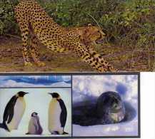 2 Cartes Merveilles Du Monde NESTLE  Animaux D'Afrique N°140 Le Guepard, N°720 Manchot,Phoque - Animales