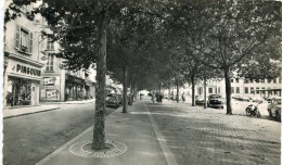 CPSM 38 VIENNE SUR LE RHONE LE COURS BRILLIER 1962 Vieilles Voitures Commerces - Vienne