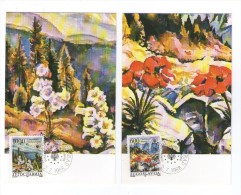 YUGOSLAVIA JUGOSLAVIJA 2 X MC MK MAXIMUM CARD 1988 PROTECTION OF NATURE EUROPSKA ZASTITA PRIRODE - Maximumkarten