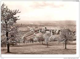 OTLINGEN GASTHAUS"DREILANDERBLICK" VUE GENERALE A VOIR ! REF 4393 - Weil Am Rhein