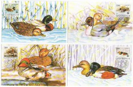 YUGOSLAVIA JUGOSLAVIJA 4 X MC MK MAXIMUM CARD 1989 ZASCITENE ZIVALSKE VRSTE WWF DUCKS - Cartes-maximum