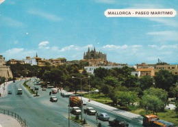 España--Mallorca--1972--Paseo Maritimo--Camiones Campsa--a Antwerpen,Belgica - Trucks, Vans &  Lorries