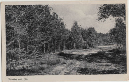 Groeten Uit Ede - Bos, Zandpad/Landweg  (1955)  - Holland/Nederland  (2 Scans) - Ede